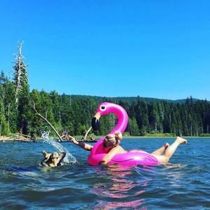 Meet your Posher, Lauren